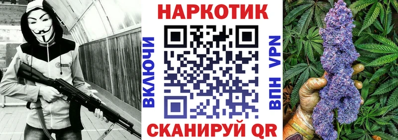 Псилоцибиновые грибы Гурьевск
