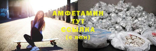 молекула духа Заволжье