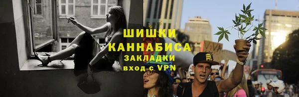 молекула духа Заволжье