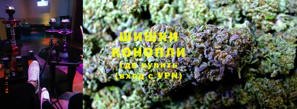 молекула духа Заволжье